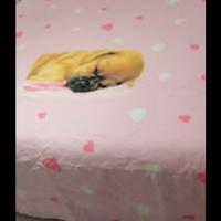 Piumone invernale 170x250 double face