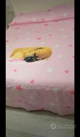 Piumone invernale 170x250 double face