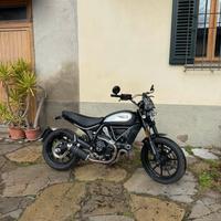 DUCATI scrambler 800 icon dark (2020)
