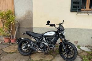 DUCATI scrambler 800 icon dark (2020)