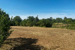 Terreno edificabile a Martignacco (UD)
