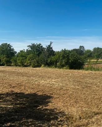 Terreno edificabile a Martignacco (UD)