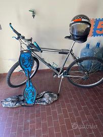 BICI E SKATEL