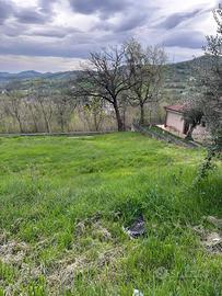 Terreno edificabile