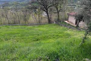 Terreno edificabile