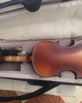 Violino