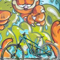 Cannondale Habit 2021