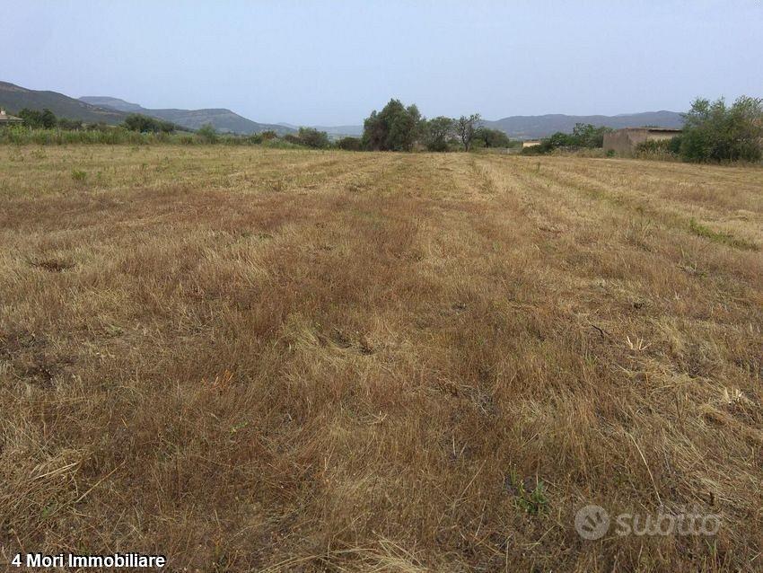 Terreno Loc. Is Pinnas mq. 1900 - Vista 5