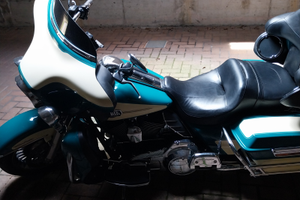 Electra glide colore avorio/verde