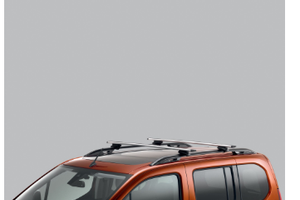 BARRE PORTATUTTO PEUGEOT - CITROEN- OPEL