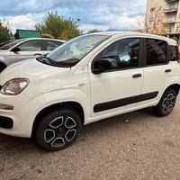 Fiat Panda 0.9 TwinAir Turbo S&S 4x4 Pop Van 2 pos