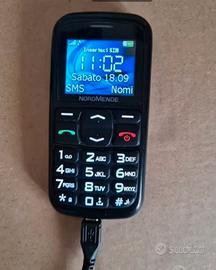 Cellulare tasti grandi