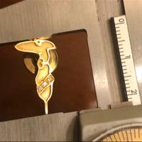 Spilla bottone Trussardi