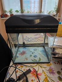 Acquario amtra 30 anni led