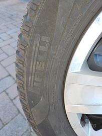 Gomme neve TROC