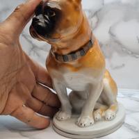 Cane Bulldog in ceramica cm 21