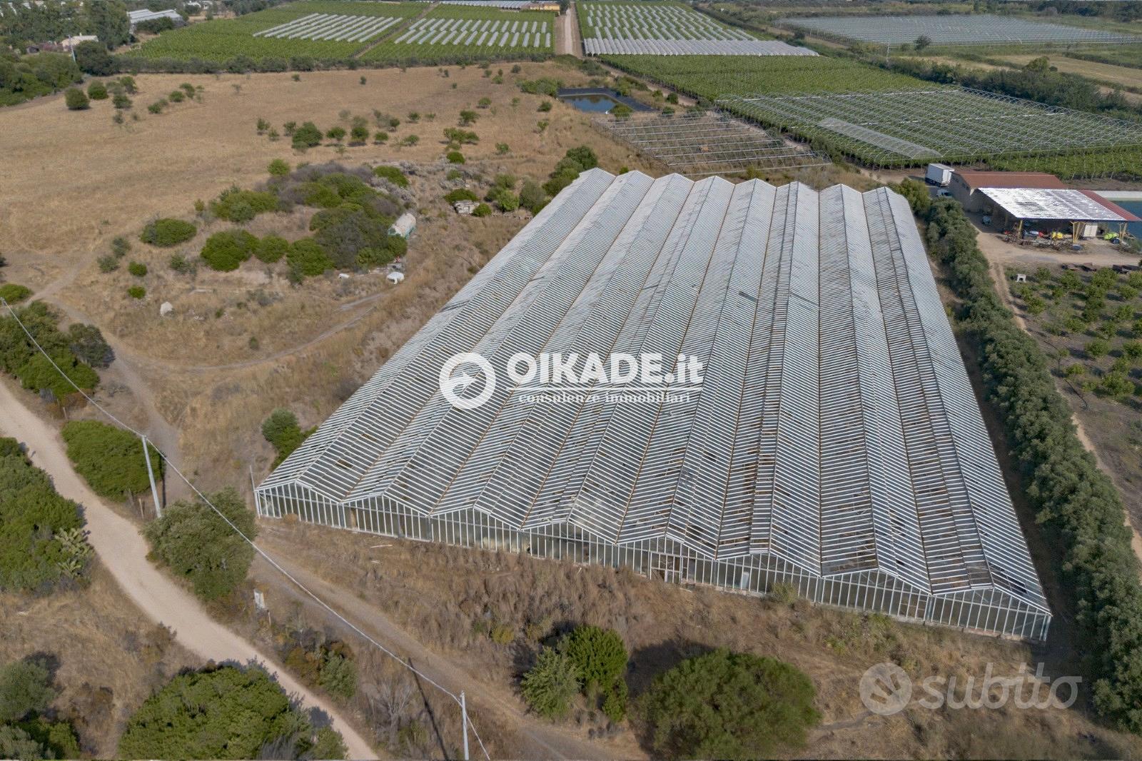 Pula "Loc. Fra Millano" - Terreno agricolo - Vista 4