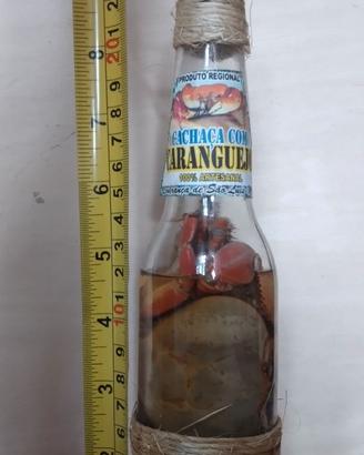Grappa brasiliana con granchio