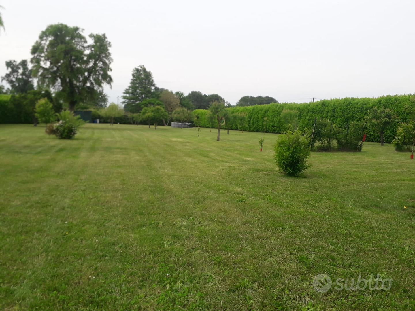 Terreno agricolo - Vista 5