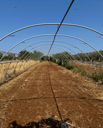 Strutture serre professionali agricole