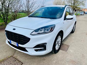 CERCHI UNA FORD KUGA USATA OTTIMAMENTE?  ECCOLA!!