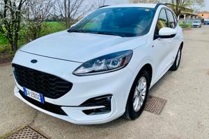 CERCHI UNA FORD KUGA USATA OTTIMAMENTE?  ECCOLA!!