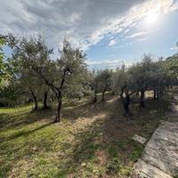 Terreno edificabile Cesi zona Marconi