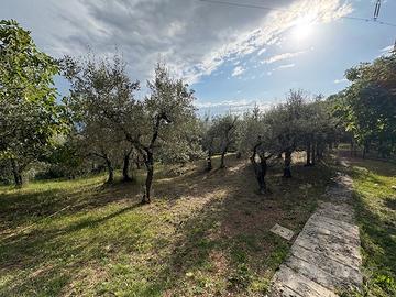 Terreno edificabile Cesi zona Marconi
