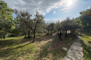 Terreno edificabile Cesi zona Marconi