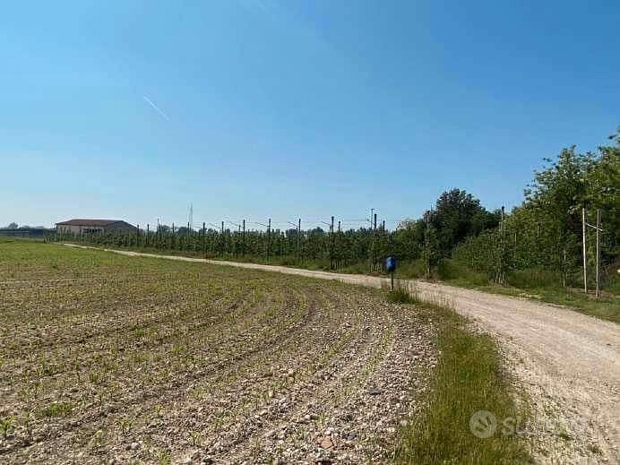 RGE 133/2022 Tribunale Verona Lotto 2) - Vista 4