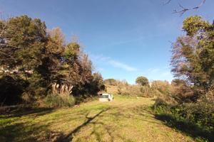 Terreno agricolo contiguo al centro abitato