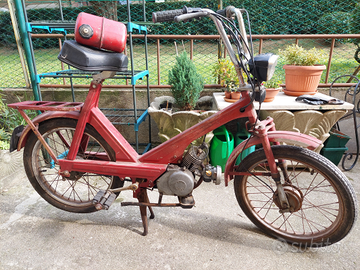 Trotter moto guzzi