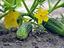 Immagine 5