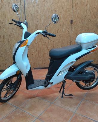 Bicicletta a pedalata assistita