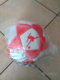 Pallone panini