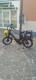 Bici elettrica pieghevole 