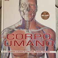 Il Corpo Umano