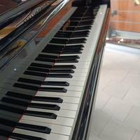 Pianoforte a coda Petrof