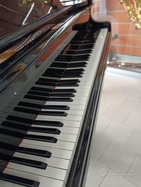 Pianoforte a coda Petrof