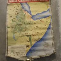 cartina  africa   orientale  economica RARISSIMA