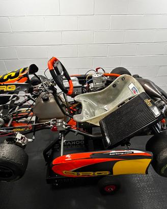KART CRG ROAD REBEL 2025 TM 125