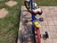 Immagine 2