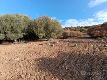 Terreno solanas ideale per case mobili