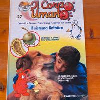 Esplorando il corpo umano il sistema linfatico