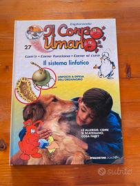 Esplorando il corpo umano il sistema linfatico