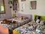 Immagine 12