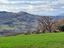 Immagine 18
