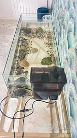 Acquario per tartaruga con penisola