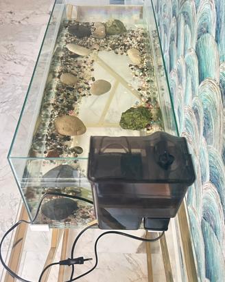Acquario per tartaruga con penisola