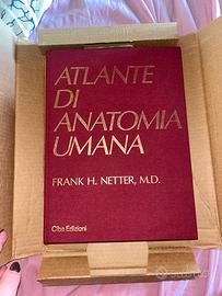 Atlante di Anatomia Umana Frank H. Netter